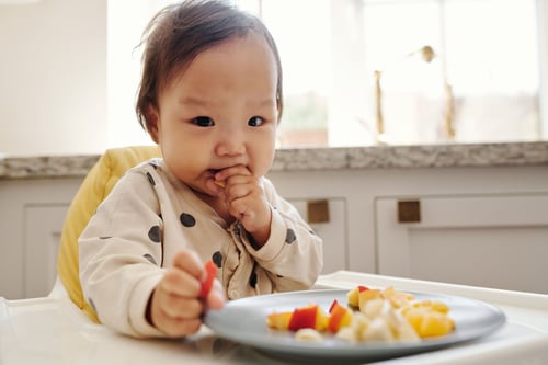 Baby in a high chair eating cut-up food from a plate