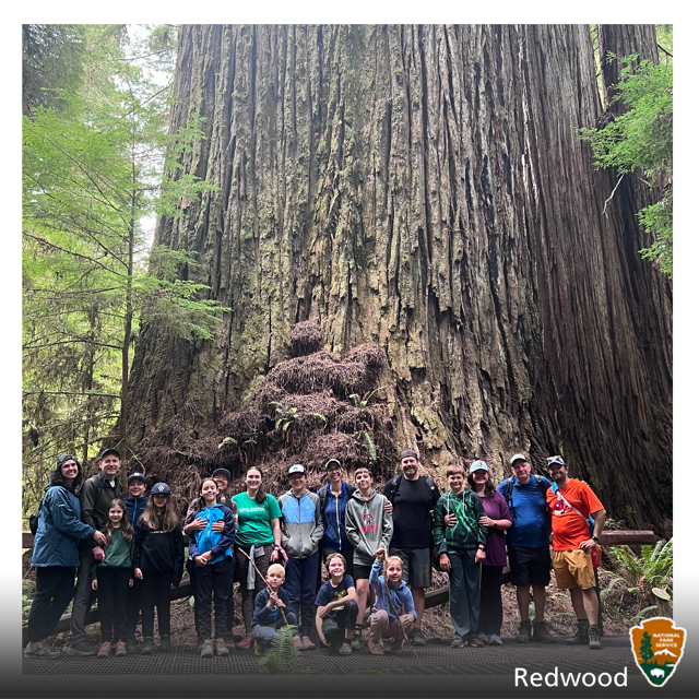 19 children and adults lined up in front of a massive redwood tree. 