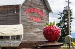Biringer_Farms