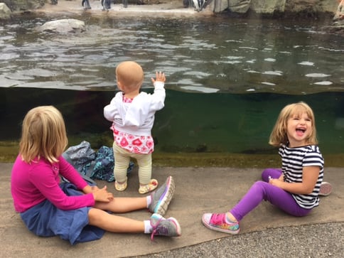 girls-at-zoo