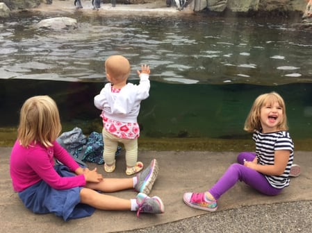 girls-at-zoo