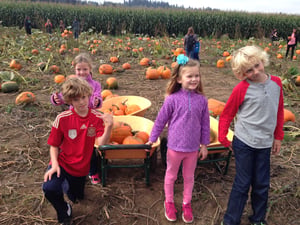 Pumpkin Pickers
