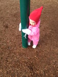 photo-8