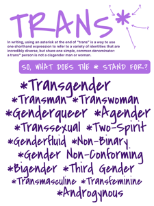 Trans* Poster